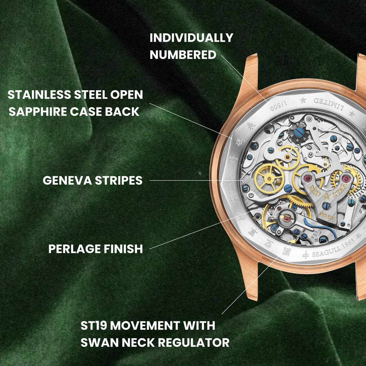 Seagull 1963 The Icon bronze caseback graphic on green velvet, engraved LIMITED 1 of 500